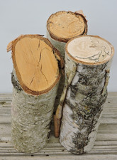 3 White Silver Birch Wood