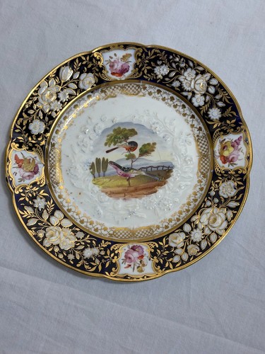 Antique coalport plate exotic - antique,