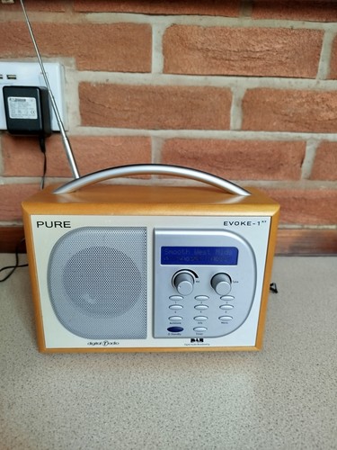 Pure evoke portable radio - xt,