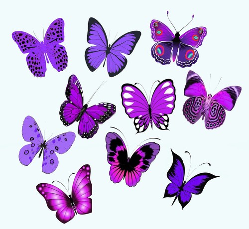 5cms purple violet - 30,