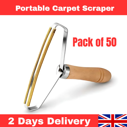 Portable lint remover carpet - remover,