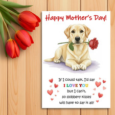 Yellow Labrador Mother’s Day