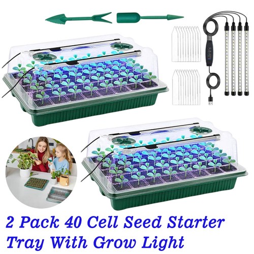 Holes seed trays with - 40-holes,