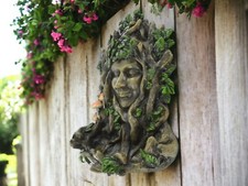 Large green lady bird - lady,