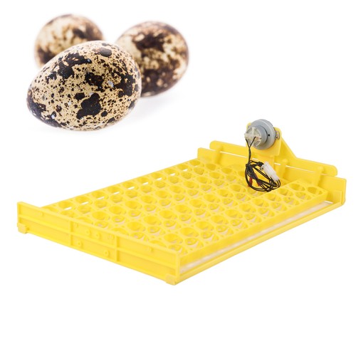 88pc egg incubator tray - 88pc,