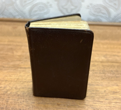 Midget english dictionary - midget,