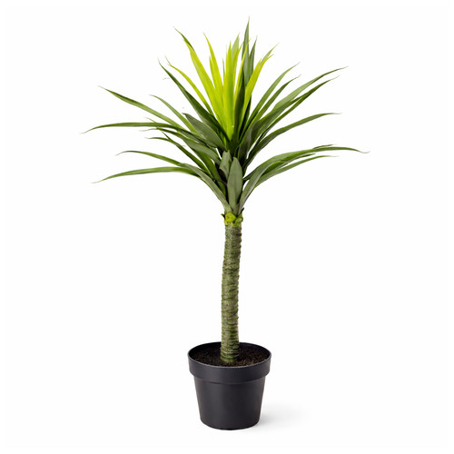 Artificial yucca plant - artificial,