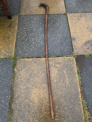 Antique bamboo shepherds - bamboo, crook