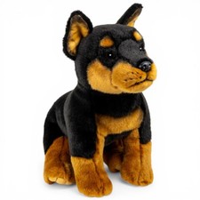Carl Dick Doberman Dog Sitting