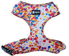 🐶🐾 Stunning Designer Dog