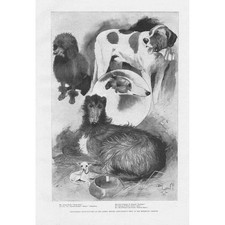 DOGS Prize Winners at the