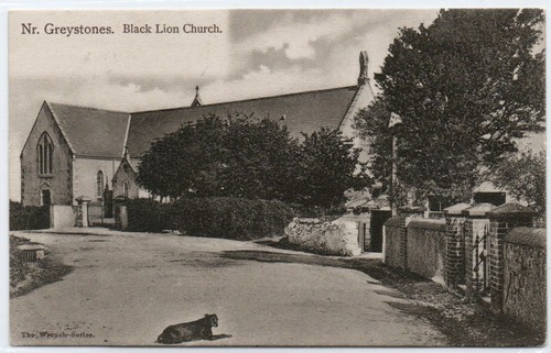 Near greystones black - black, lion