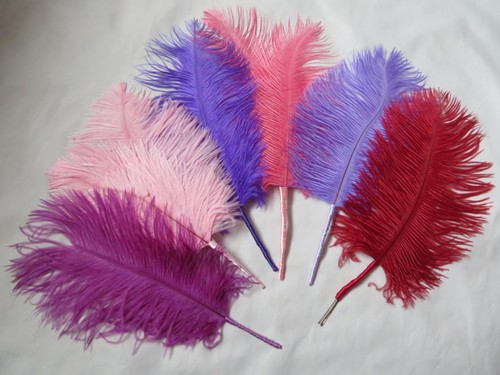 Regency ostrich feather plume - regency,