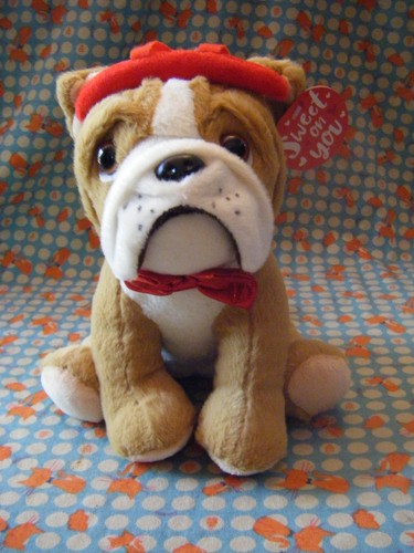 Card factory bulldog soft toy - bulldog,