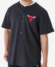 Chicago Bulls NBA Team Logo