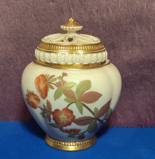 SUPERB 19th. CENTURY  ROYAL