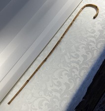 Walking Bamboo Teachers Stick