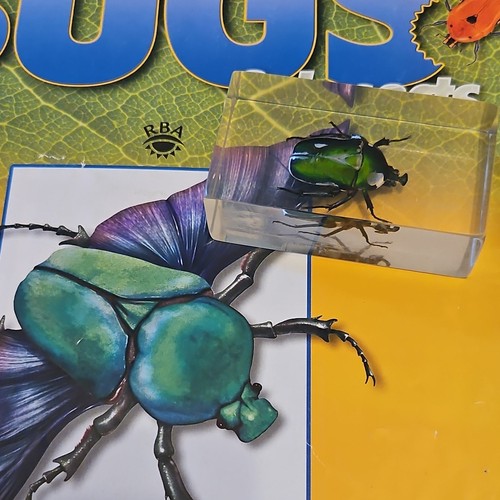 Resin bug from bugs - resin, and