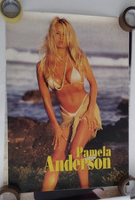 vintage Pamela Anderson playboy image Poster