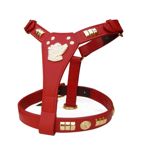 Leather staffy designer dog - staffy,