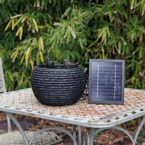 Primrose 25cm solar water - primrose,