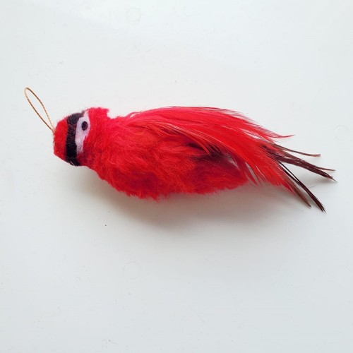 Charlie cardinal red bird cat - charlie,