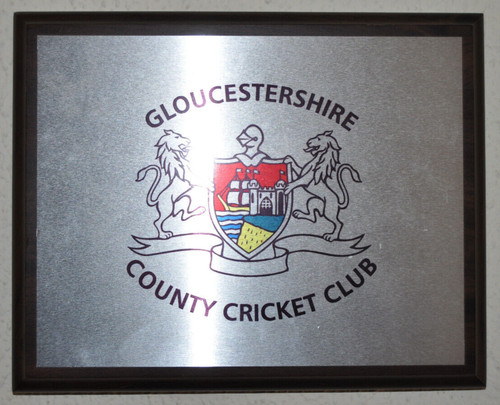 Gloucestershire county cricket - gloucestershire,