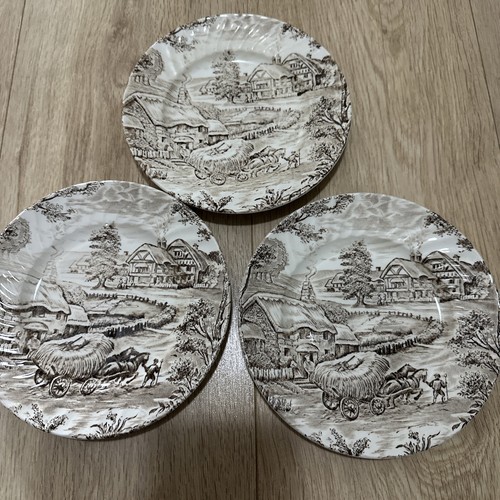 Ridgway ironstone side - ridgway,