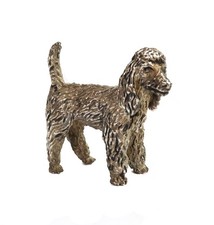 Silver Miniature Poodle Dog