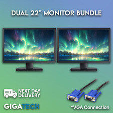 Generic Dual 22" Wide Monitor Bundle 