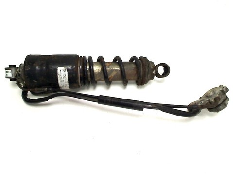 Rear shock absorber - rear,
