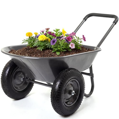 Wheelbarrow garden - wheelbarrow,