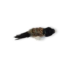 Seconds Sale Bettie Black Bird