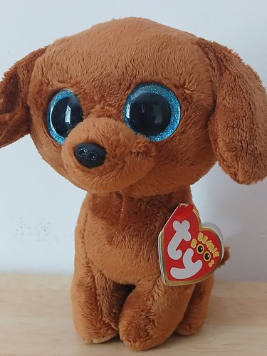 Beanie boo dougie dog - ty,
