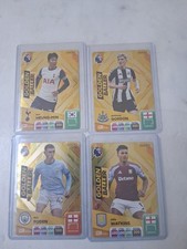 Panini Adrenalyn XL 24/25