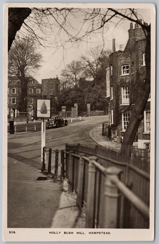 Hampstead holly bush - hampstead,