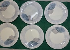 RARE Set of 6 Portmeirion DUSK