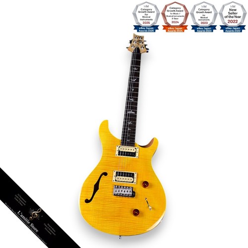 Prs custom22 semihollow - prs, se