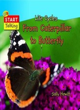 Life Cycles: From Caterpillar
