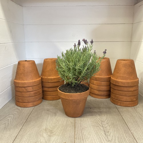 Vintage terracotta pots 13cm - pots,