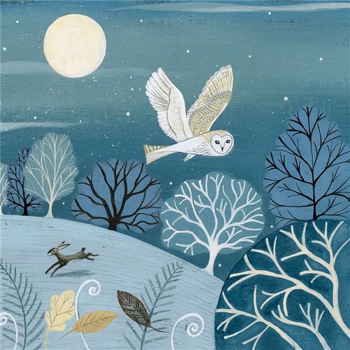 Midnight owl premium - owl, card