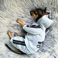 Adidog Dog Tracksuit Pet