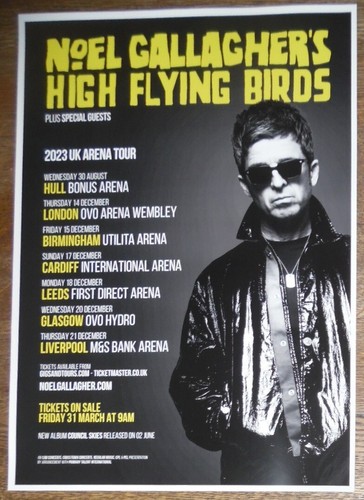 Noel gallagher oasis live - gallagher,