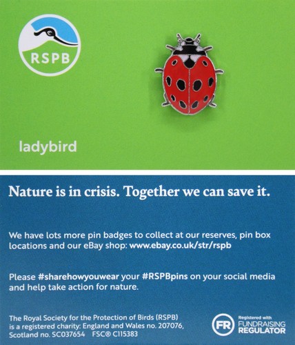 Rspb pin badge niic ladybird - pin,