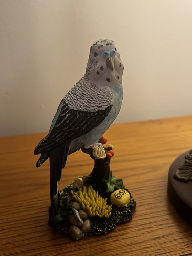 Cosa blue budgie resin - cosa, bird