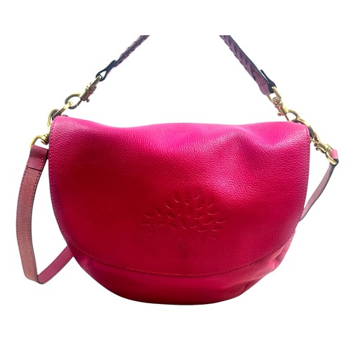 Mulberry daria raspberry - mulberry,