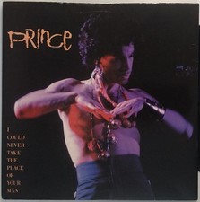 Prince I Could Never Take The