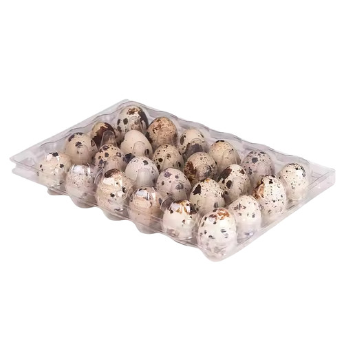 Jumbo quail egg - egg, cartons