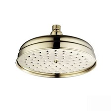 Fixed Shower Head Large