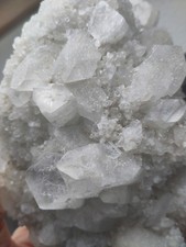 Stunning Huge 1.16kg Specimen